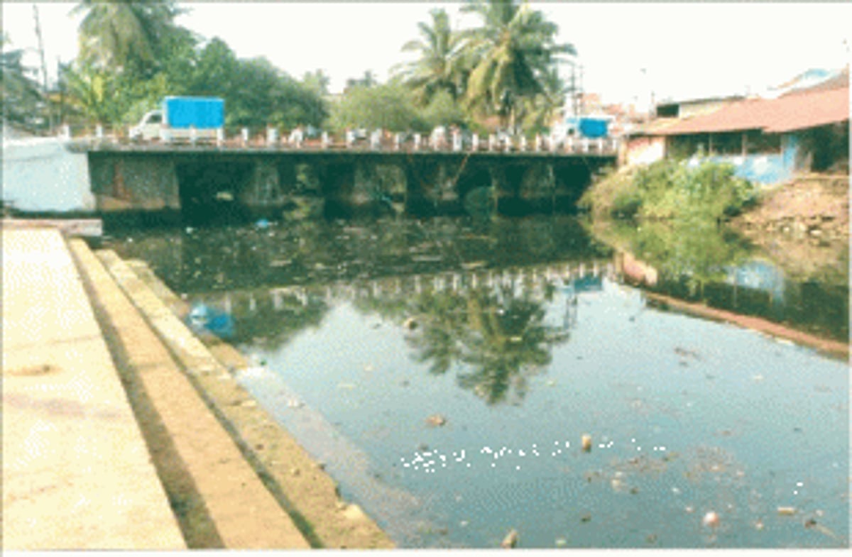 Mapusa River dying a slow death