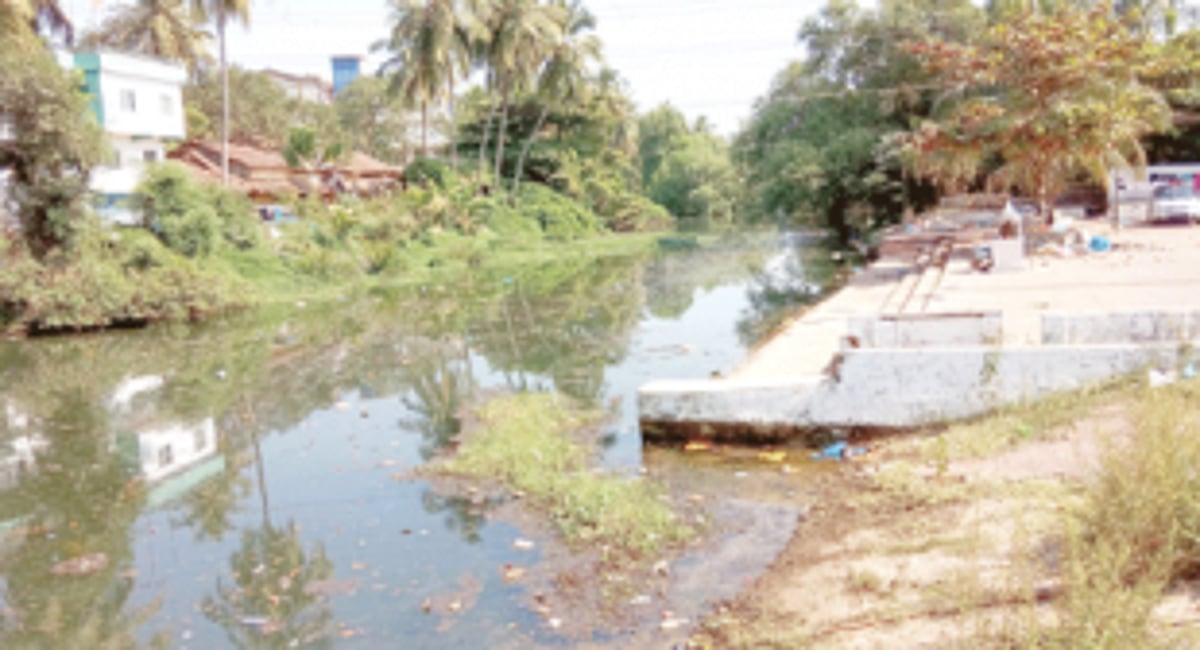 Mapusa municipality  to inspect Tar River