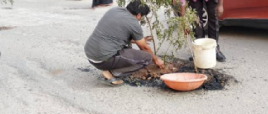 Mapusa shop owners plant sapling in pothole 1 Mapusa shop owners plant sapling in pothole