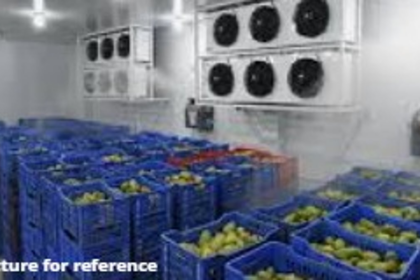 Mapusa to Get 60-Tonne Fruit Ripening Chamber by Ganesh Chaturthi