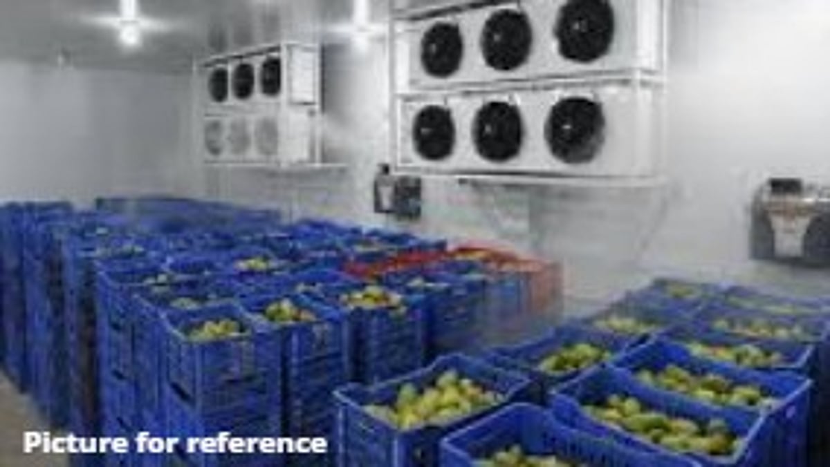 Mapusa to Get 60-Tonne Fruit Ripening Chamber by Ganesh Chaturthi