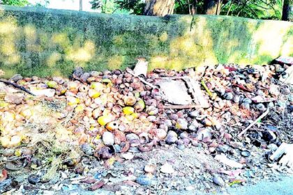 Margao Municipal Council installs machine to shred coconut shells at Sonsoddo