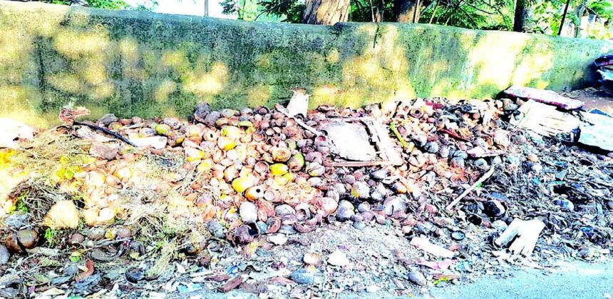 Margao Municipal Council installs machine to shred coconut shells at Sonsoddo 1 Margao Municipal Council installs machine to shred coconut shells at Sonsoddo