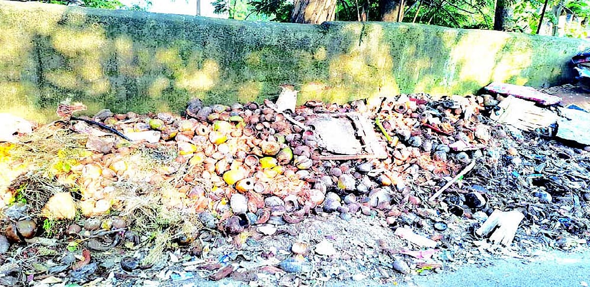 Margao Municipal Council installs machine to shred coconut shells at Sonsoddo