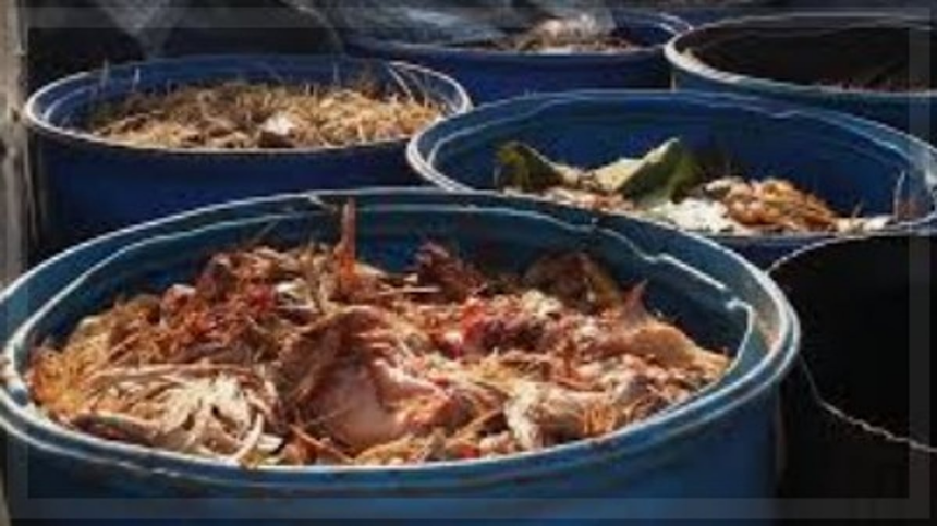 Margao Residents Demand Action Against Improper Chicken Waste Disposal