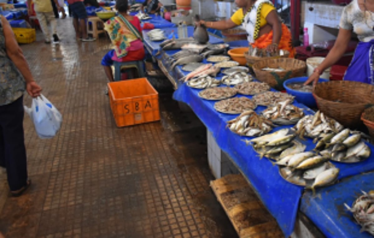 Margao Wholesale Fish Traders Assn demands suspension of SGPDA member secretary