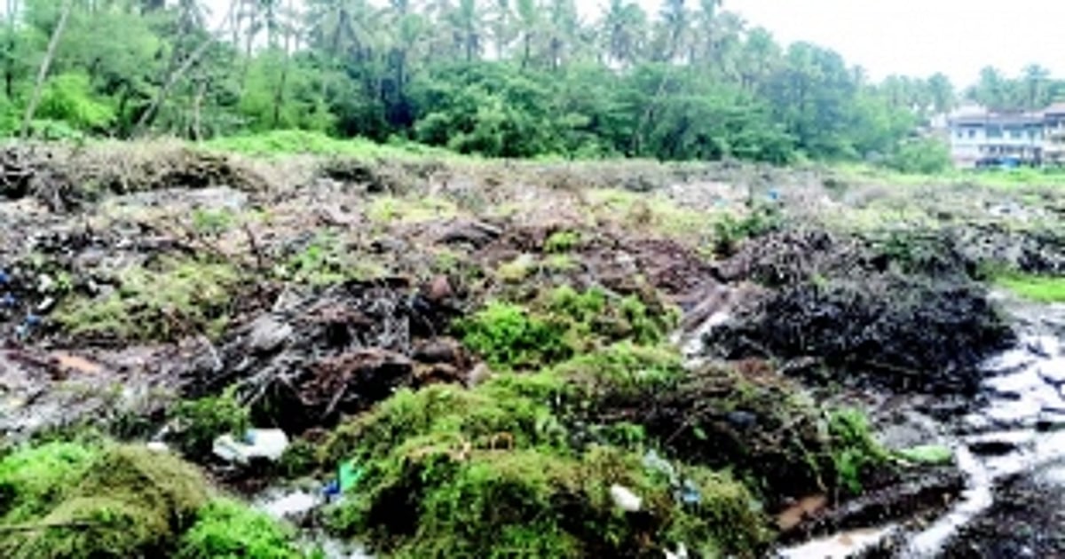 Margao civic body MMC faces uphill  task of disposing trimmed branches