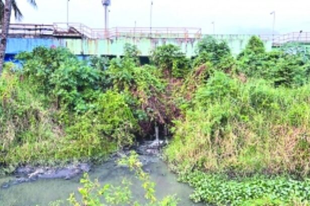 Margao civic body, Sewerage Corp under fire as various authorities scrutinise Sal pollution issue