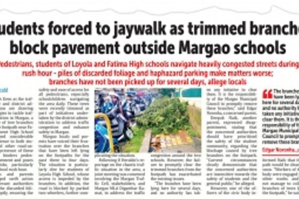 Margao civic body clears branches blocking footpath outside schools