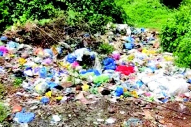 Margao civic body faulted for ‘lack of seriousness’ in tackling garbage crisis