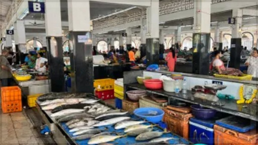 Margao fish vendors still grapple with unhygienic conditions at retail market 1 Margao fish vendors still grapple with unhygienic conditions at retail market