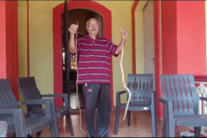 Margao resident sets record for growing the longest drumsticks