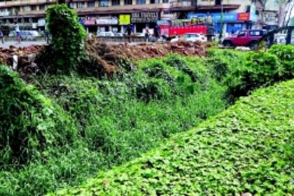 Margao residents worried about poor condition of nullah near District Court building