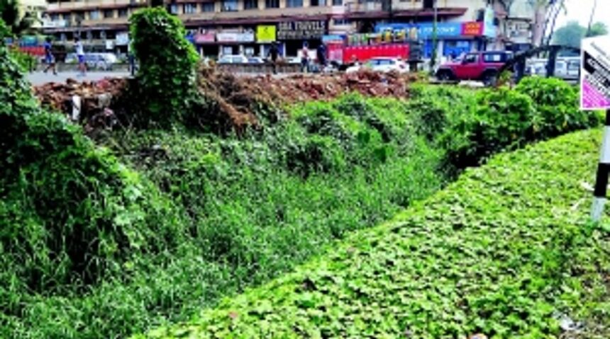 Margao residents worried about poor condition of nullah near District Court building 1 Margao residents worried about poor condition of nullah near District Court building