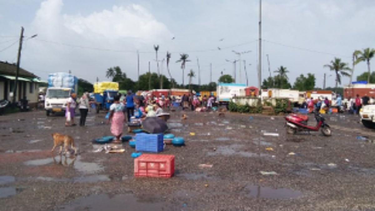 Margao sopo collector threatens to file defamation against wholesale fish vendors’ association president