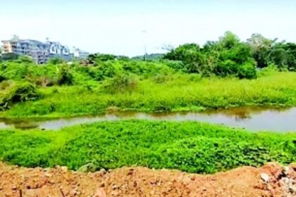 Margao’s bio-methanation plant discharges effluent into nearby open fields