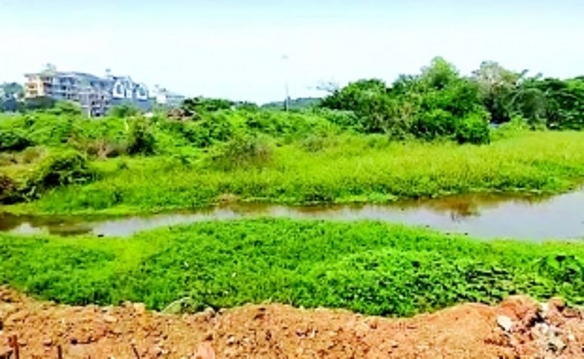 Margao’s bio-methanation plant discharges effluent into nearby open fields