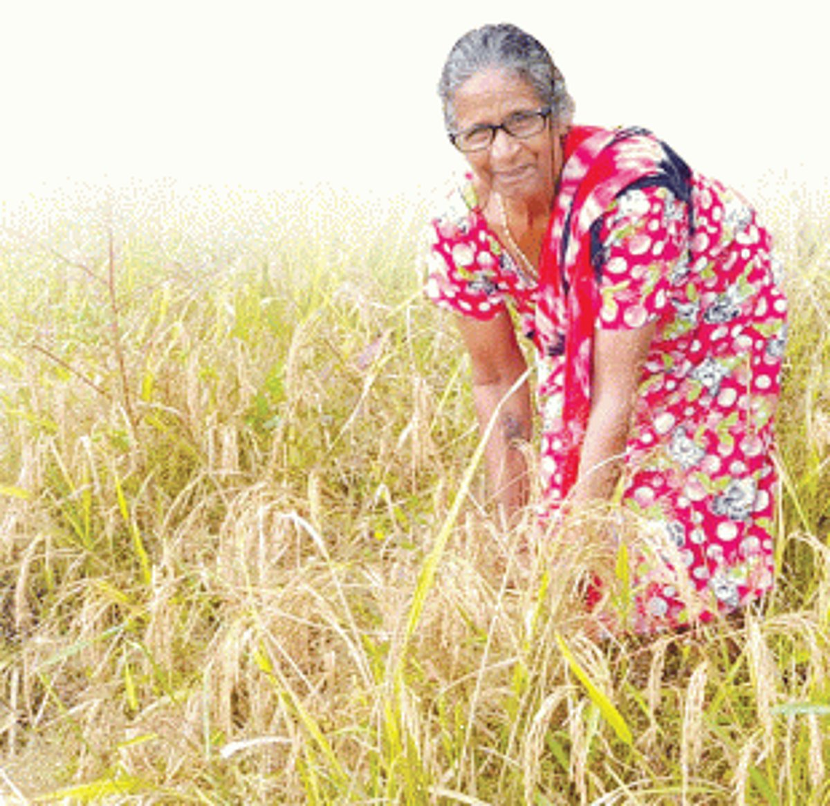 Maria Mascarenhas: The farmer with one eye, a lifetime of toil and a bounty of wisdom