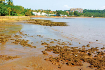Marina not anchored in  Goa yet