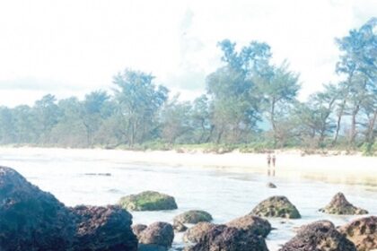 Marine Wildlife Range to focus on Galgibaga for turtle conservation