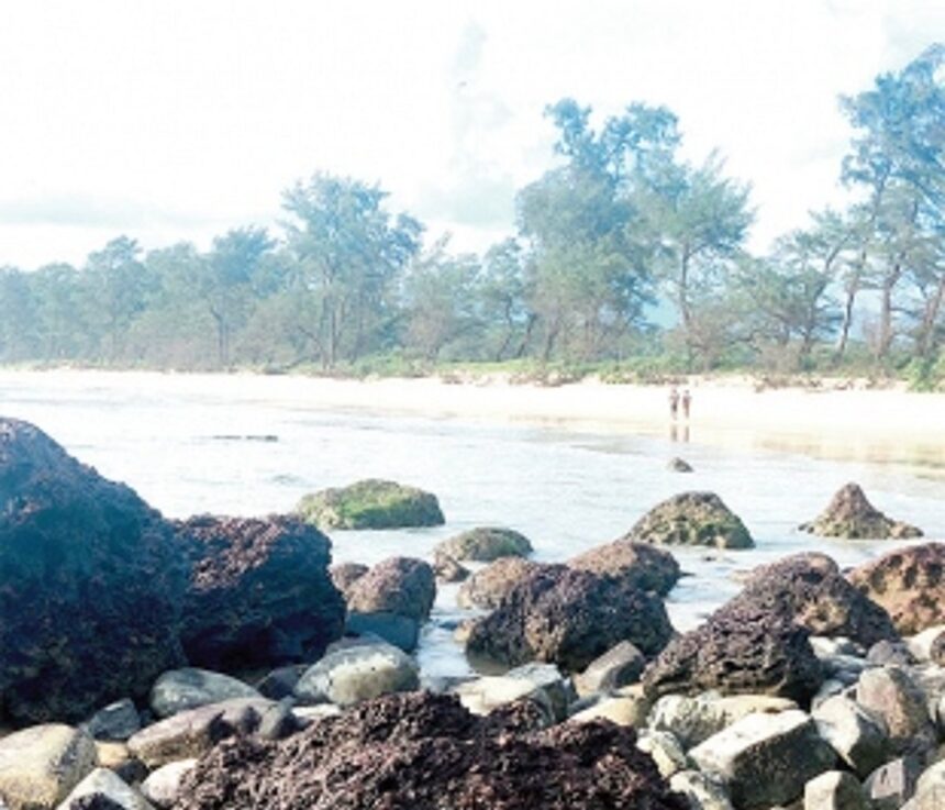 Marine Wildlife Range to focus on Galgibaga for turtle conservation