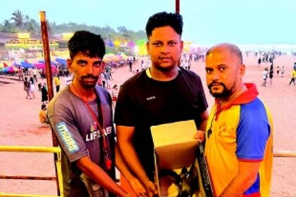 Marine ecosystem in crisis: Dolphin carcass, injured sea bird found on North Goa beaches