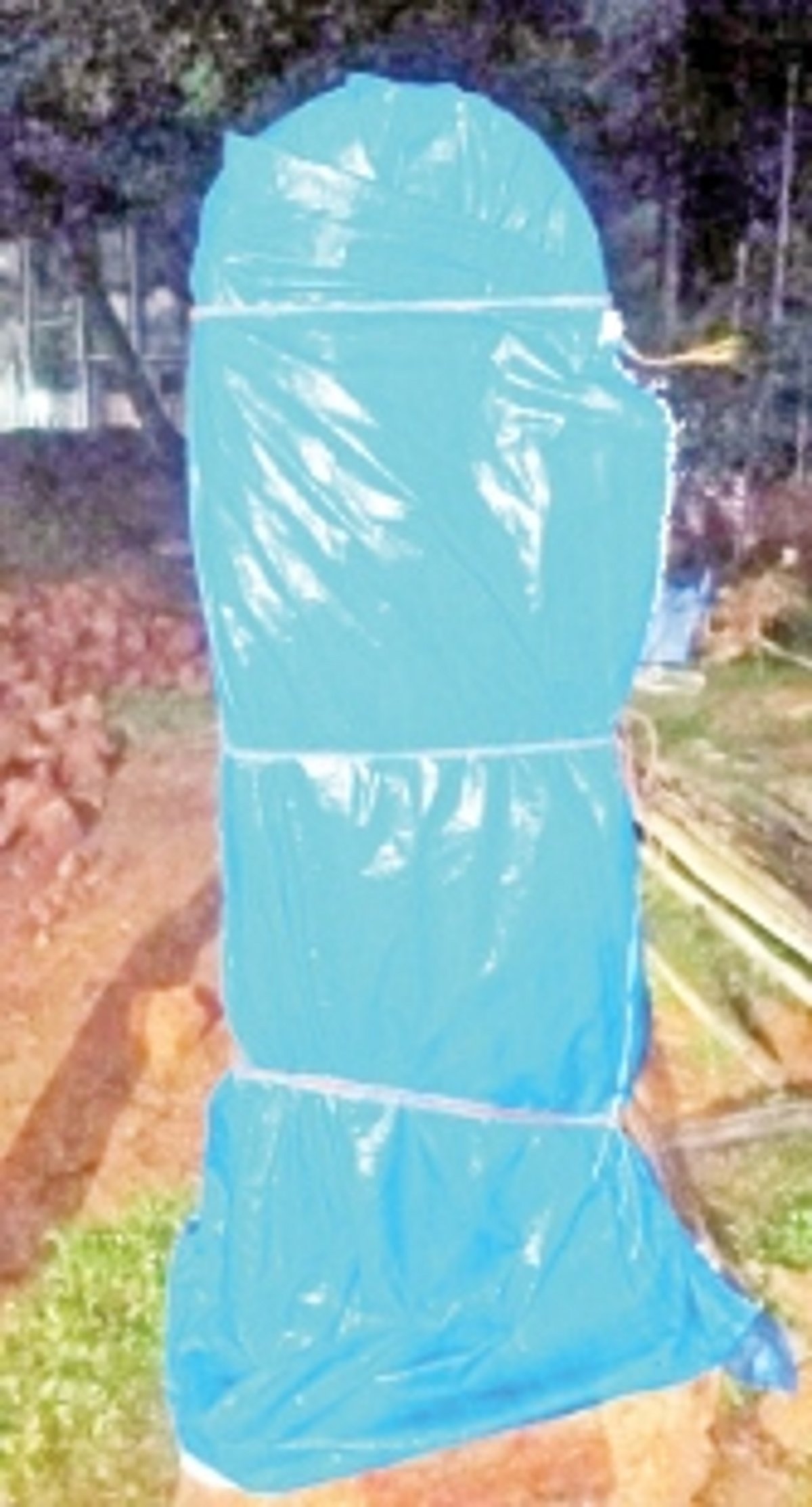 Martyr’s memorial abandoned at Lohia Maidan; BJP worker defends contractor