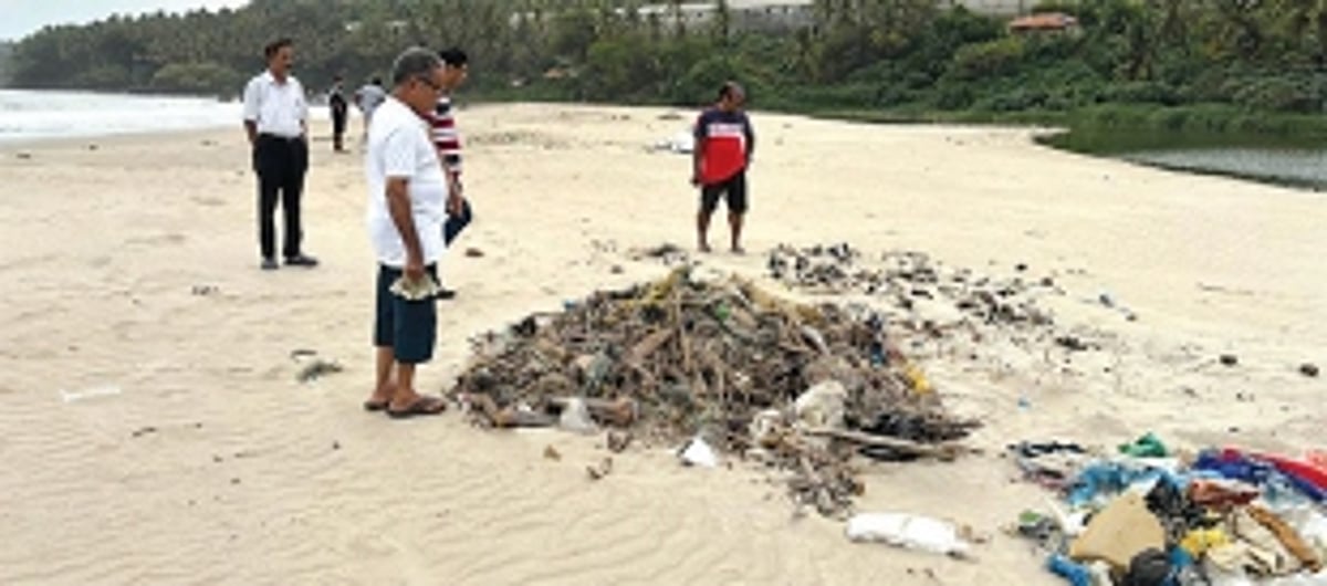 Mass fish deaths at Velsao: Livelihoods  of 400 fisherfolk at risk, says NGO