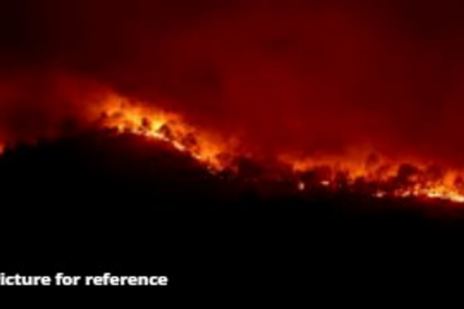 Massive Fire Destroys Cashew Plantation in Mandrem’s Naik Wada, Goa, INR 20 Lakh Loss Reported