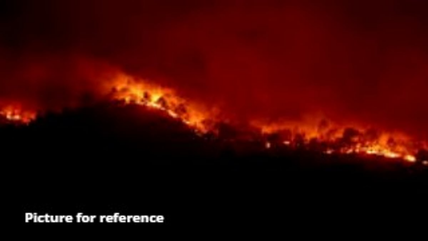 Massive Fire Destroys Cashew Plantation in Mandrem’s Naik Wada, Goa, INR 20 Lakh Loss Reported