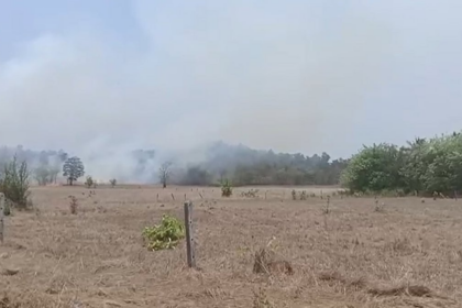 Massive Fire Erupts on Odshe Dongor in Sanguem, Forest Department Called In