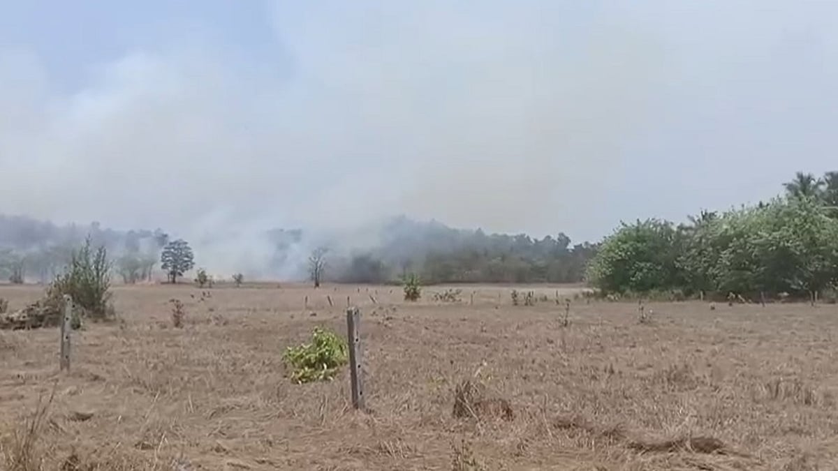 Massive Fire Erupts on Odshe Dongor in Sanguem, Forest Department Called In