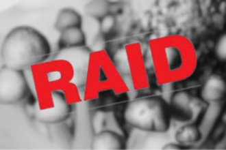 Massive Narcotic Raid in Arambol Uncovers Magic Mushroom Plantation, Russian National Arrested with Drugs Worth Rs. 1.70 Crores