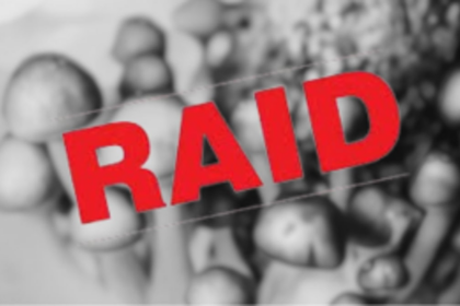 Massive Narcotic Raid in Arambol Uncovers Magic Mushroom Plantation, Russian National Arrested with Drugs Worth Rs. 1.70 Crores