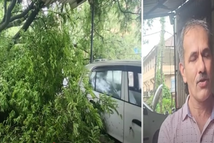Massive tamarind tree crushes garage in Curti-Ponda, miraculously spares lives
