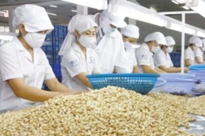 Masterplan required for Goa to realise food processing potential