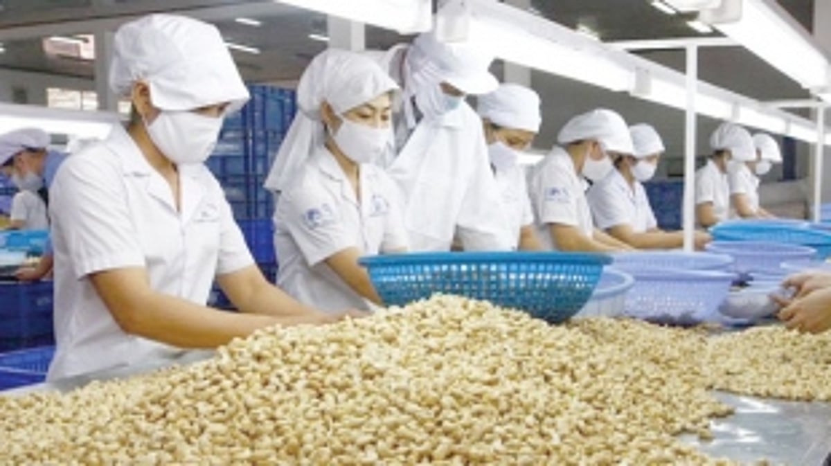 Masterplan required for Goa to realise food processing potential