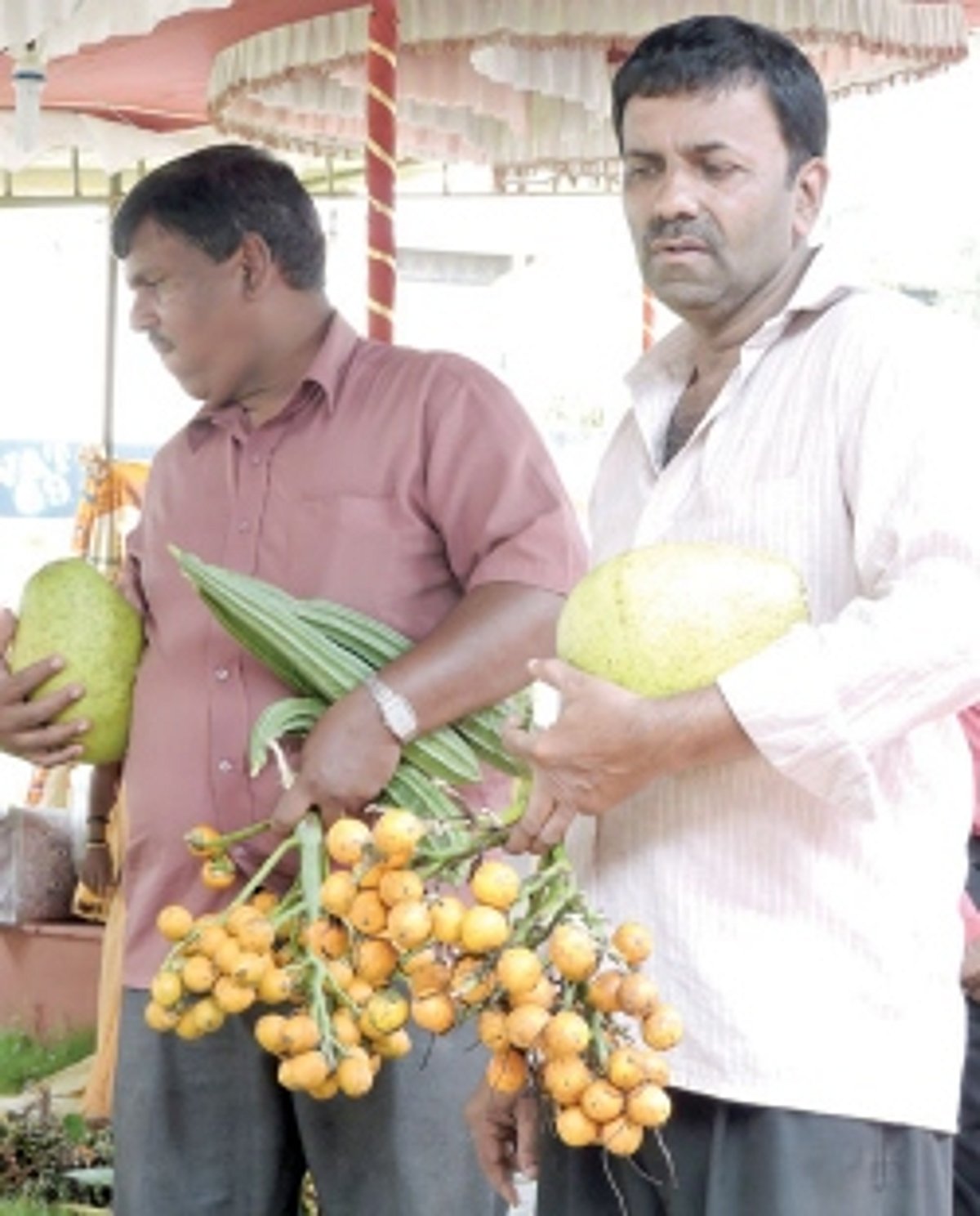 Matoli bazaar opens in Margao
