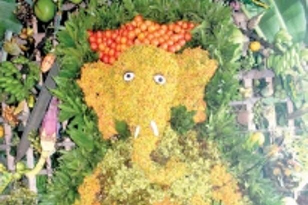 Matoli encompasses call for protecting nature