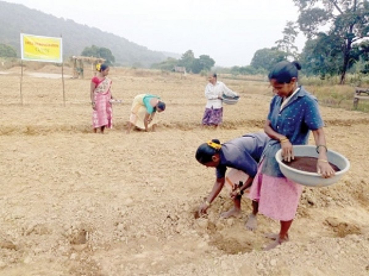 Mauxi women cultivate fallow land; plant watermelon