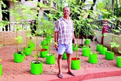 Maxy Viegas’ kitchen garden: Where organic okra and community spirit thrive