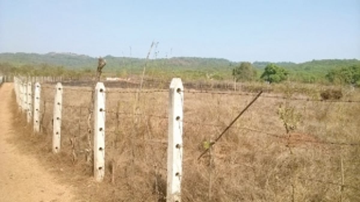 Mayem grounds crying for govt attention