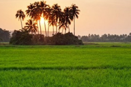 Mayem villagers lament lack of development since liberation