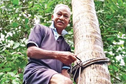Meet Antonio Fernandes: The 74-Year-Old Farmer Upholding Goa’s Agrarian Legacy