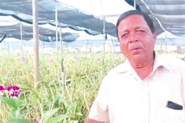 Meet Satish Bhukamp, the Quepem farmer who found fulfilment in orchid cultivation