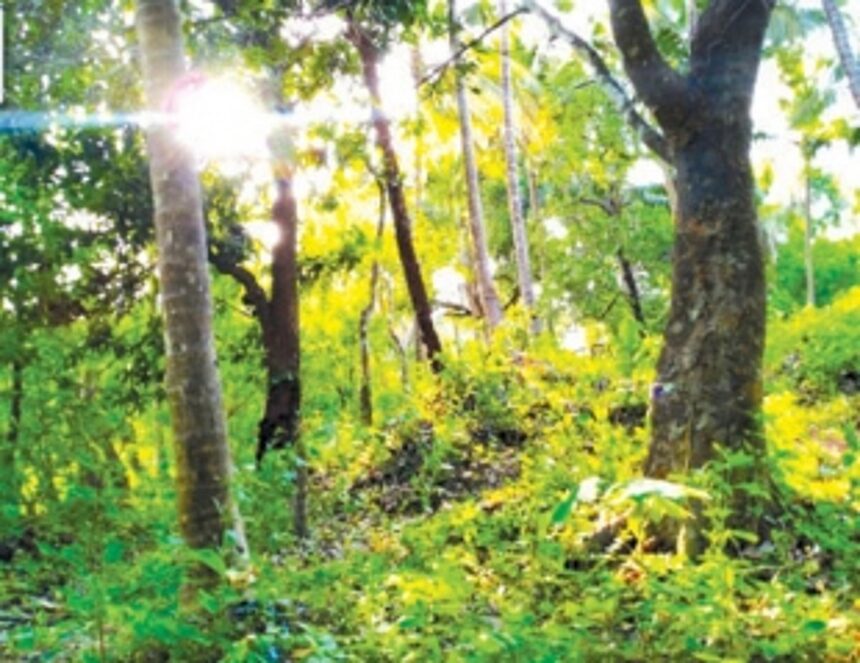 Melauli locals claim IIT project will destroy their livelihood