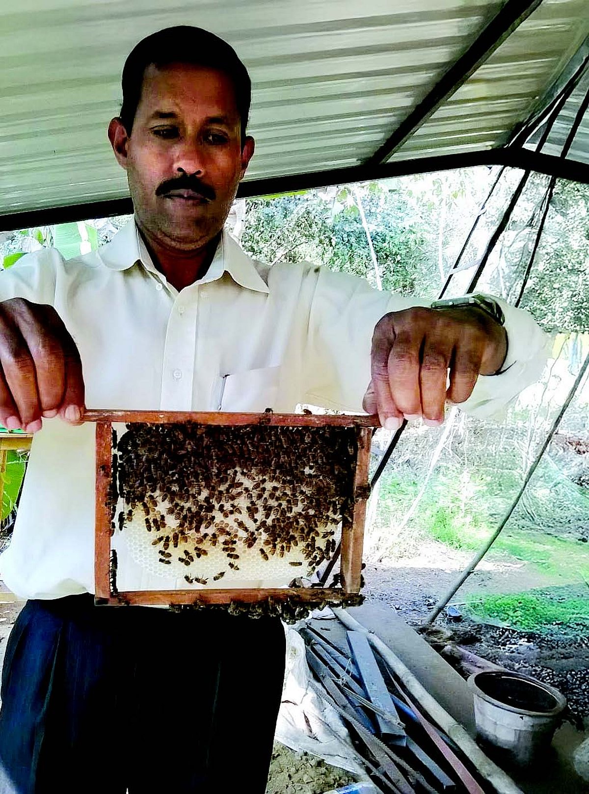 Melwyn De Souza keeps the buzz alive in beekeeping