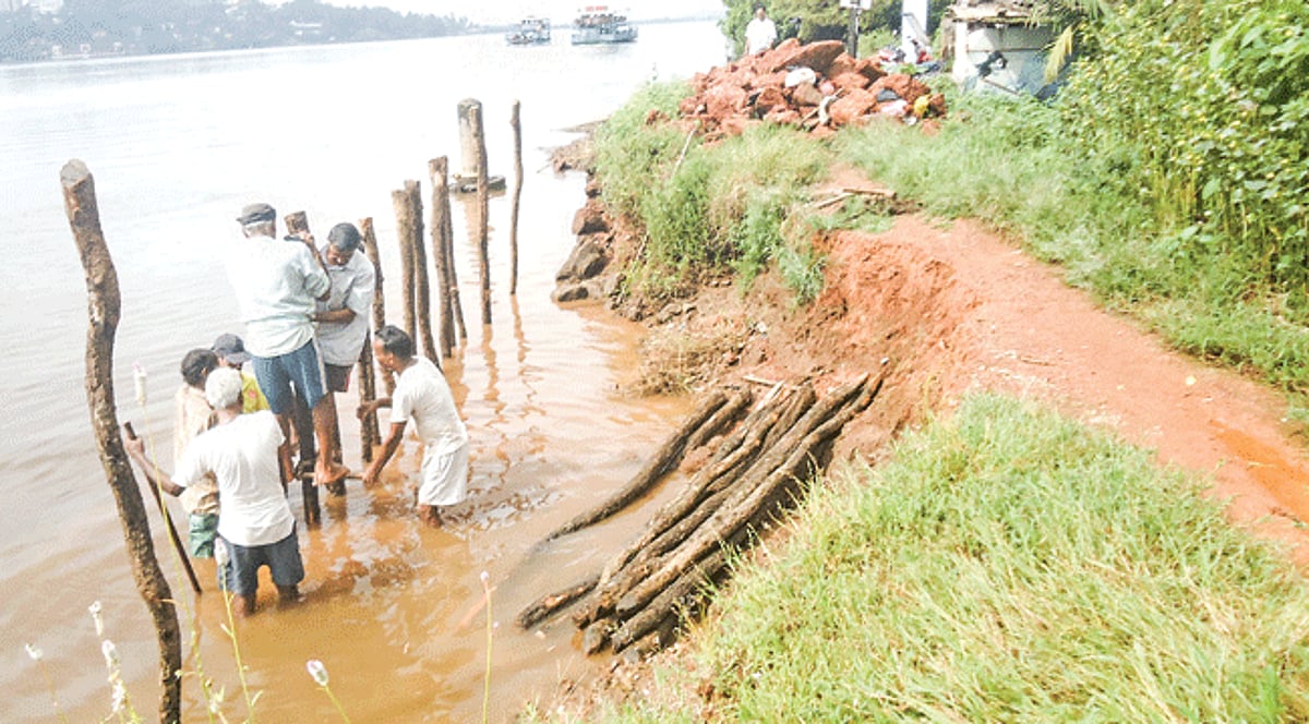 Members of the Varon-Patramon Khazan Association engaged in the repair of the damaged khazan bund at Chorao Island. 1 Members of the Varon-Patramon Khazan Association engaged in the repair of the damaged khazan bund at Chorao Island.