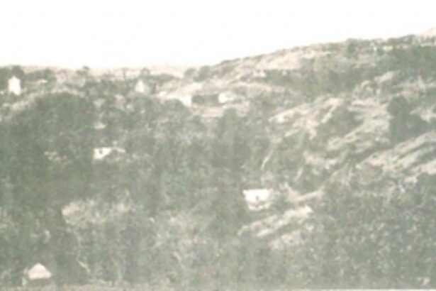 Memórias soltas do bairro do Poço do Padeiro