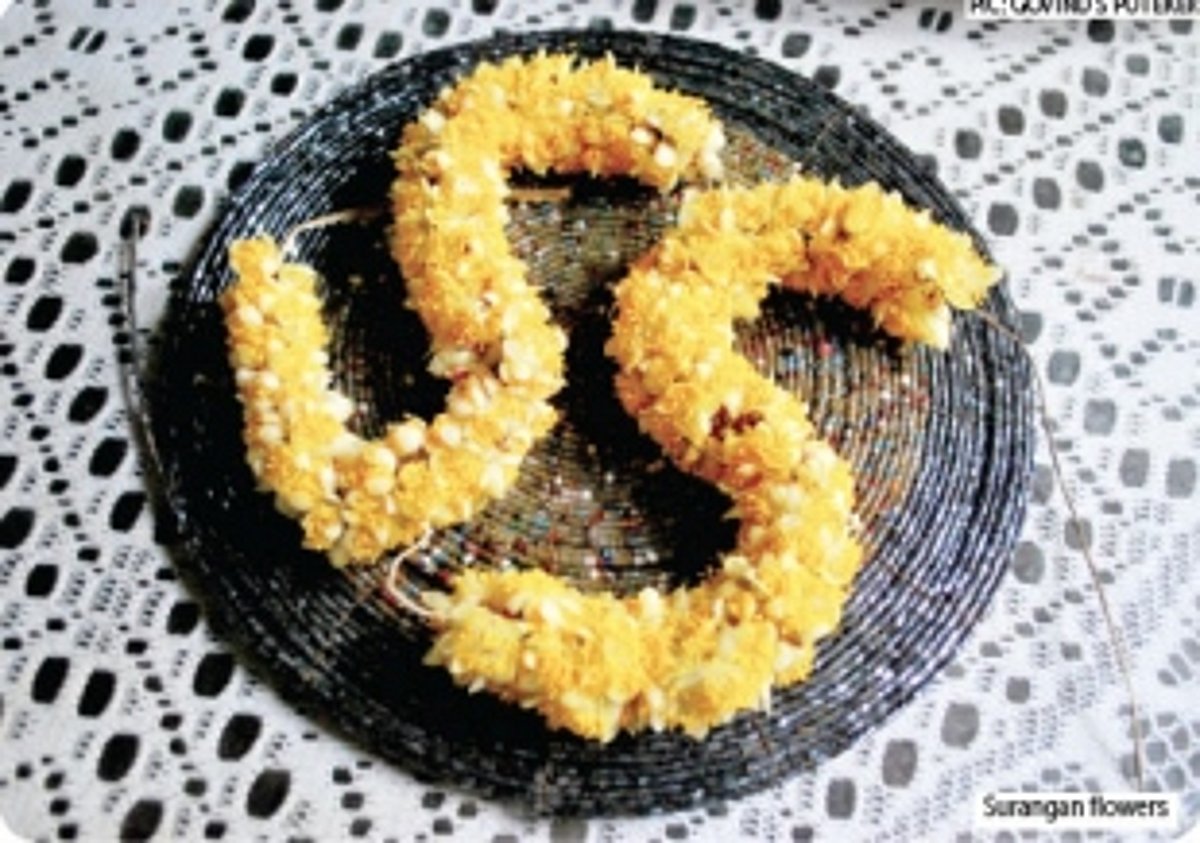 Memories of Surangan Flowers